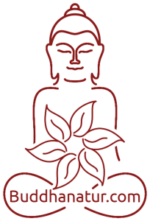 Buddhanatur